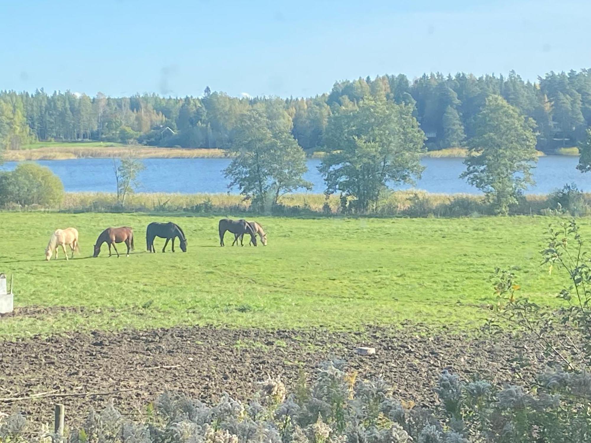 Ulvsby Ranch Western Camp Karlstad Esterno foto