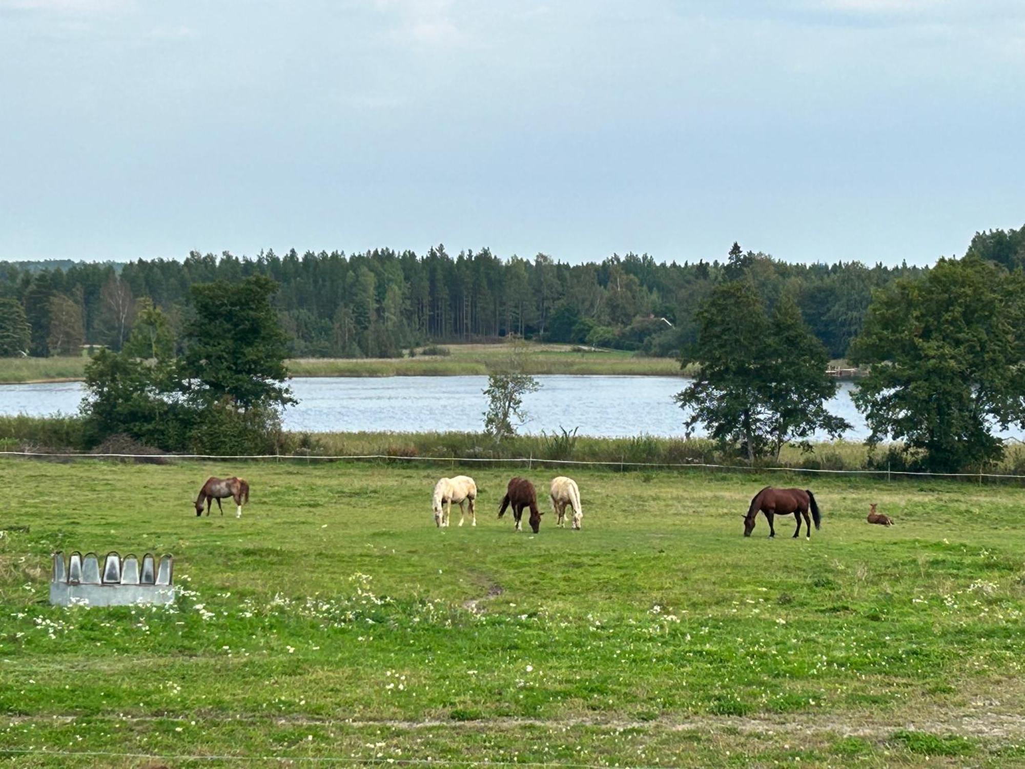 Ulvsby Ranch Western Camp Karlstad Esterno foto